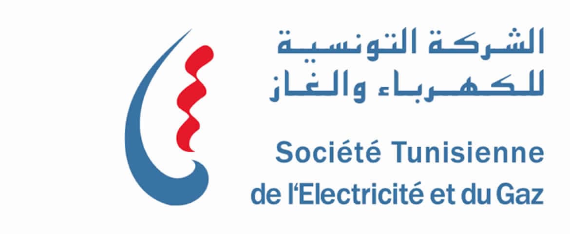 STEG logo